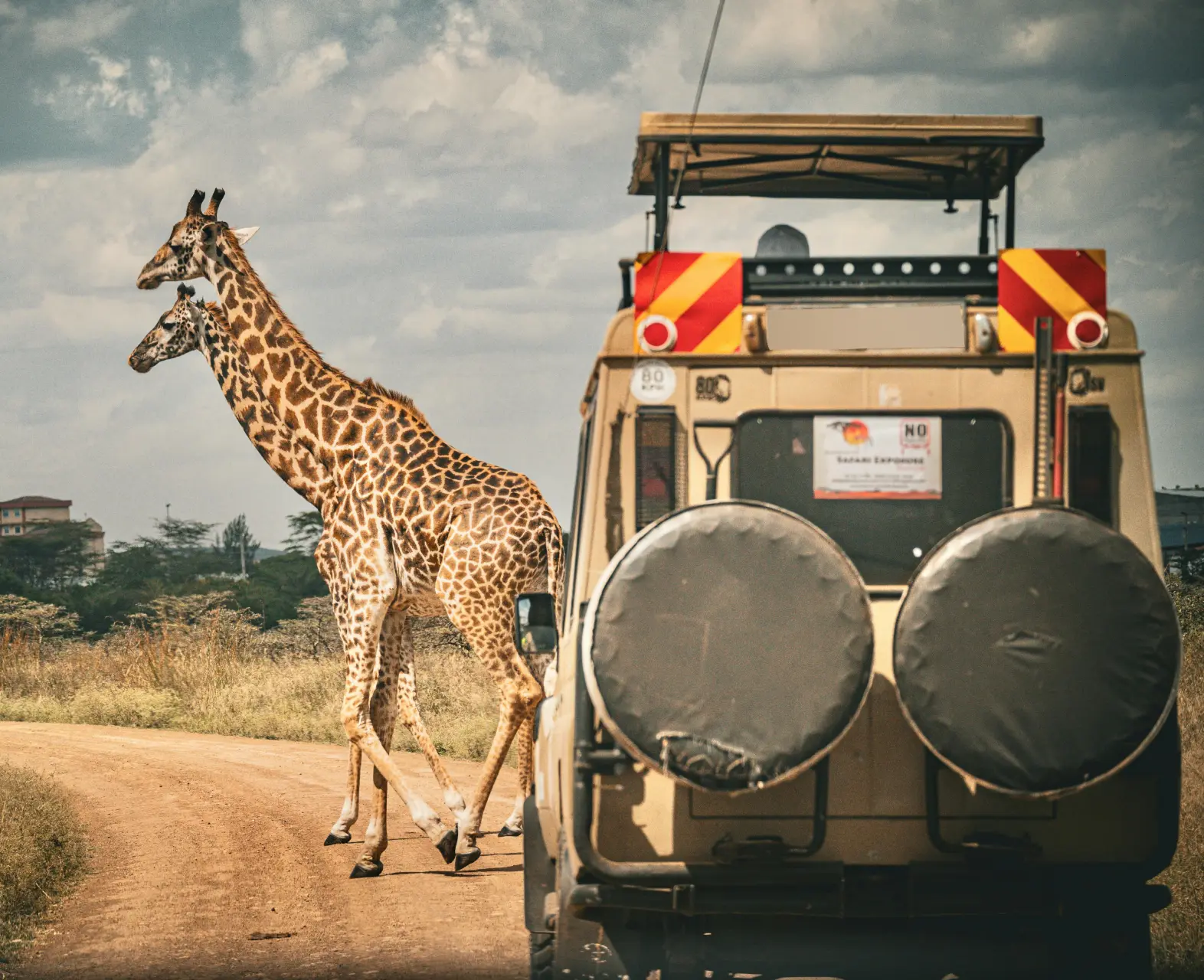Affordable-safari-land-cruisers-for-hire-in-Nairobi