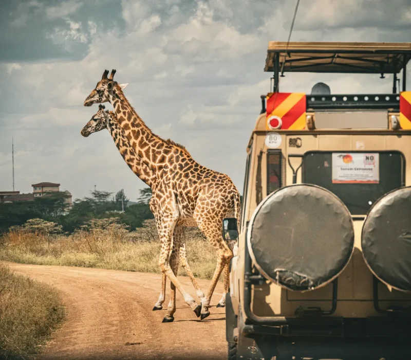 safari-land-cruisers-for-hire-in-Nairobi